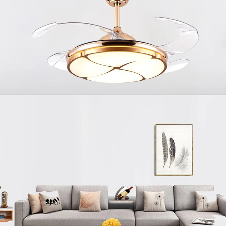 47517192716574|47517192749342