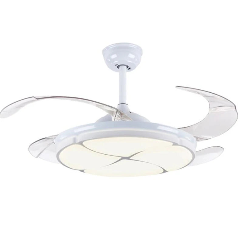 47517192585502|47517192618270