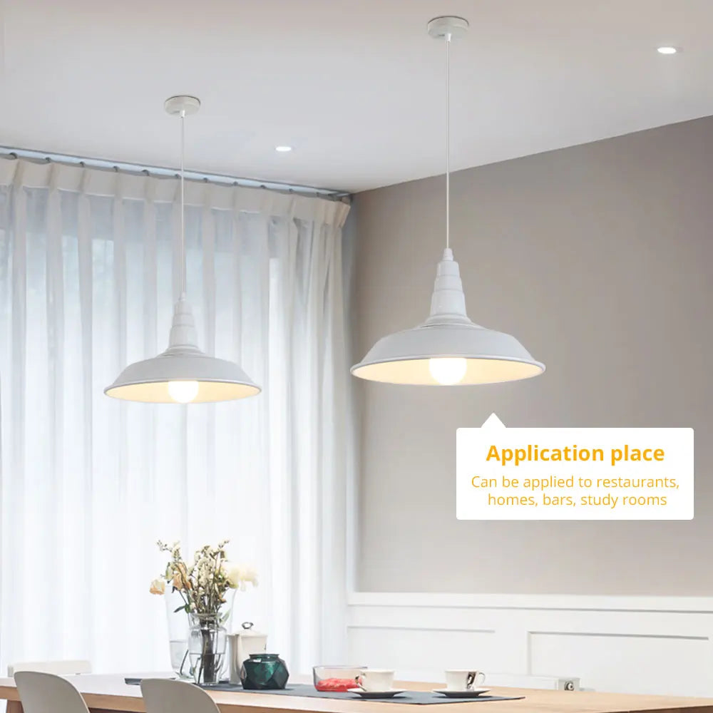 American Loft single head lighting