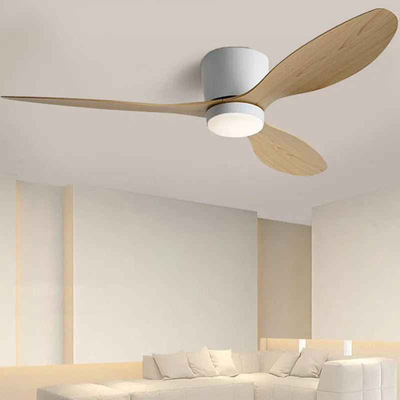 Modern ceiling fan with light