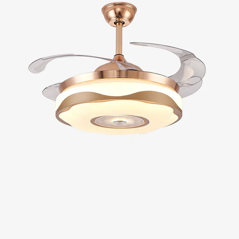 47517187866910|47517187899678