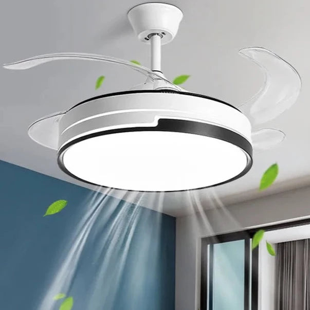 47517179445534|47517179478302|47517179511070|47517179543838