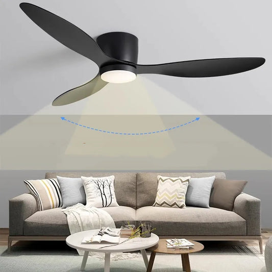 Modern ceiling fan with light