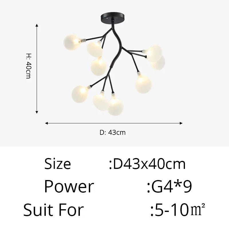 47517241999646|47517242032414|47517242065182