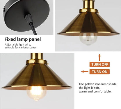 Iron 3 head Retro Industrial pendent light