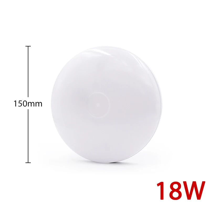 47517281026334|47517281059102