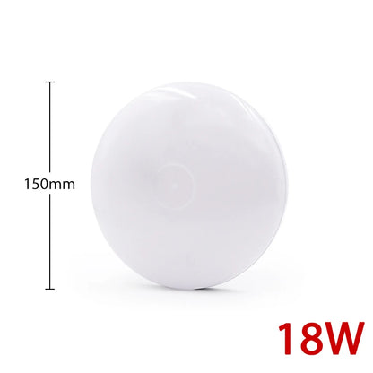 47517281026334|47517281059102