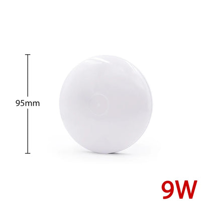 47517280895262|47517280928030