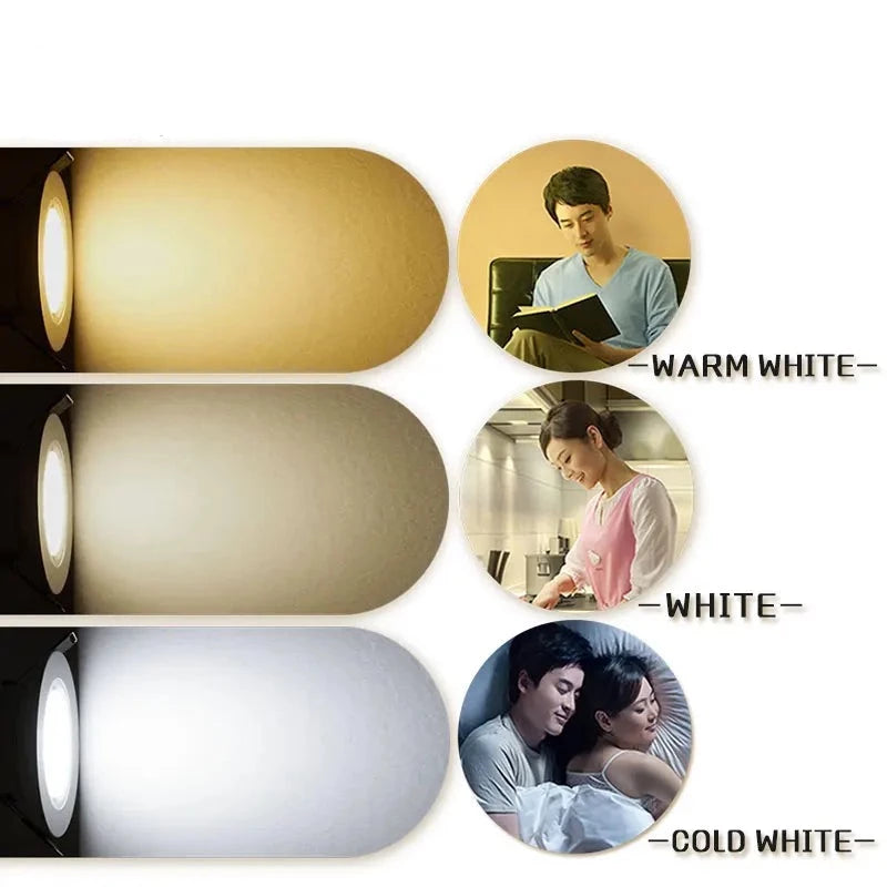 Dimmable Waterproof LED Downlight