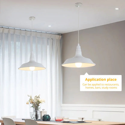 American Loft single head lighting