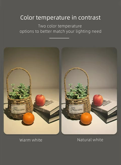 Led Recessed Downlight Frameless cut out