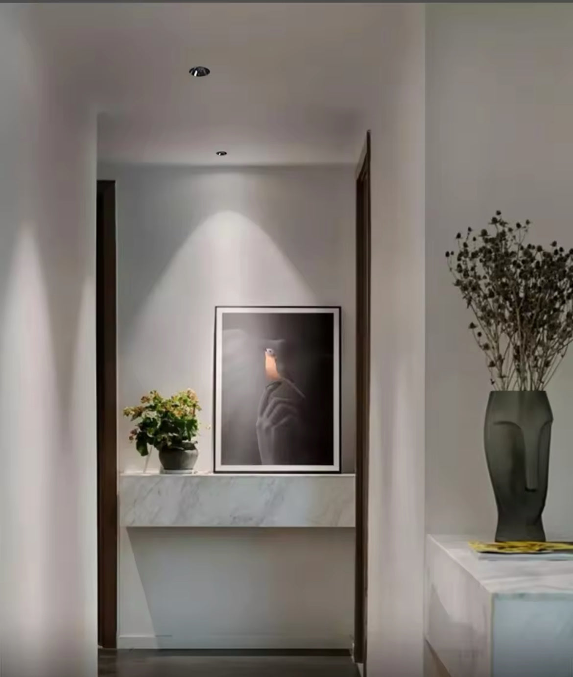 Led Recessed Downlight Frameless cut out