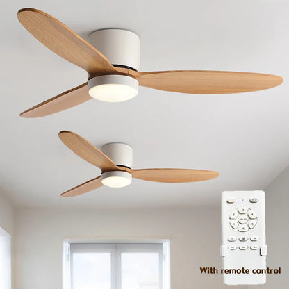 Modern ceiling fan with light