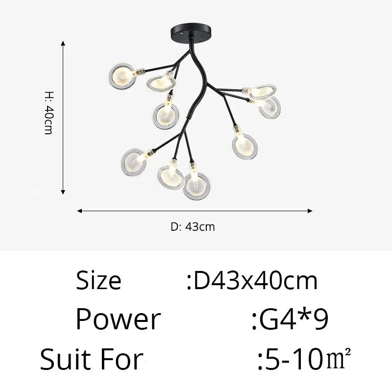 47517241803038|47517241835806|47517241868574