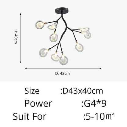 47517241803038|47517241835806|47517241868574