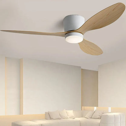 Modern ceiling fan with light