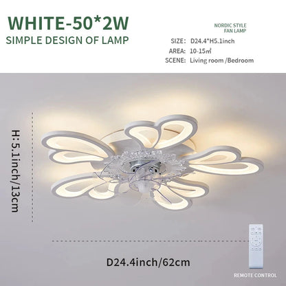 47517327393054|47517327425822