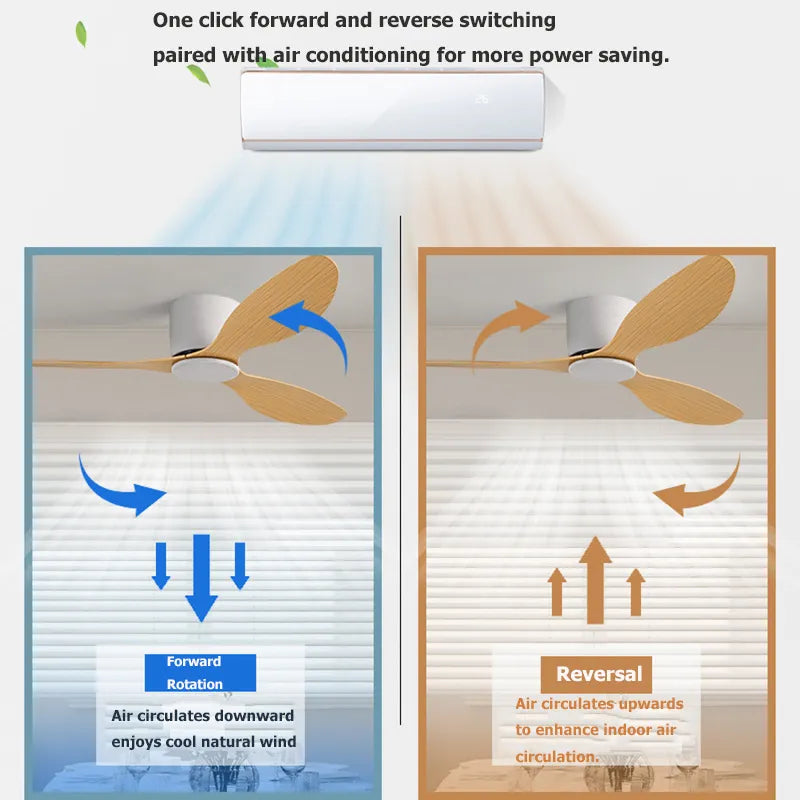 Modern ceiling fan with light