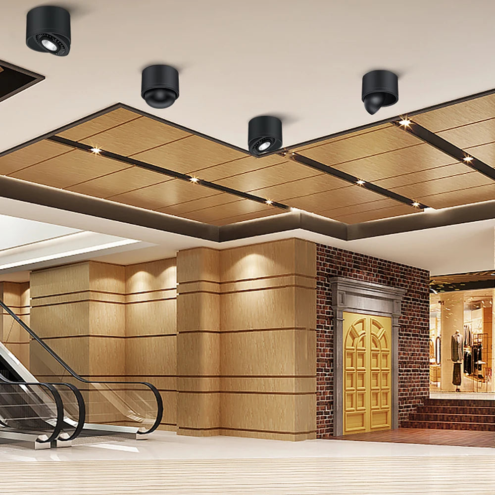 Surface Mounted Aluminum Led downlight