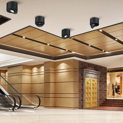 Surface Mounted Aluminum Led downlight