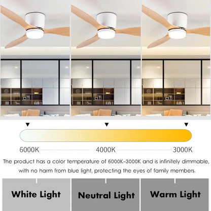 Modern ceiling fan with light