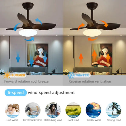 Mini Ceiling Fan Lamp With Remote Control