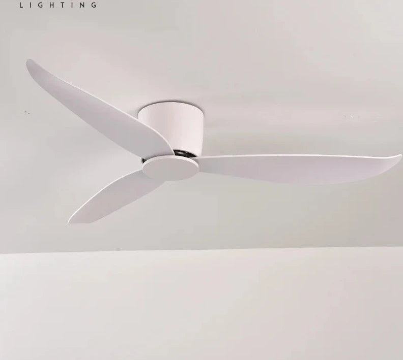 47517323854110|47517323886878|47517323919646