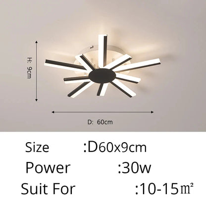 47517337977118|47517338009886|47517338042654