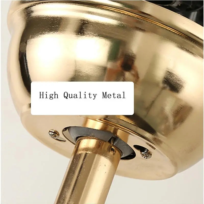 LED Musical Ceiling Fan with Lights