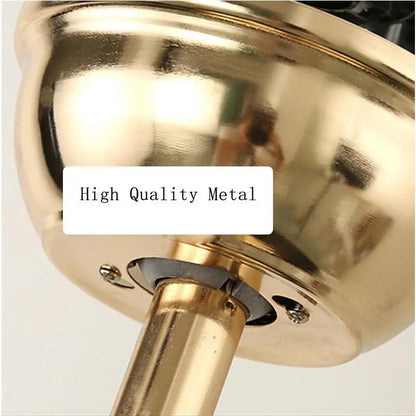 LED Musical Ceiling Fan with Lights